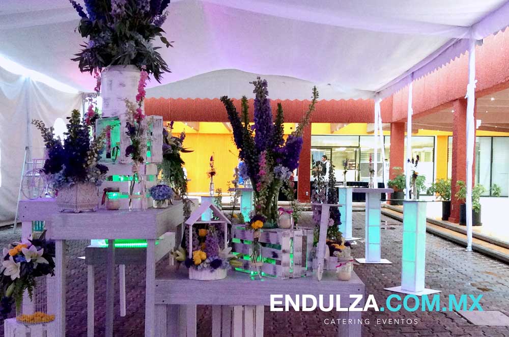 servicio periqueras, montaje con periqueras, eventos con periqueras, decoracion para eventos con periqueras